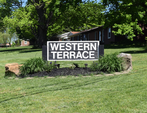 Western Terrace Neighborhood Water Line Replacement