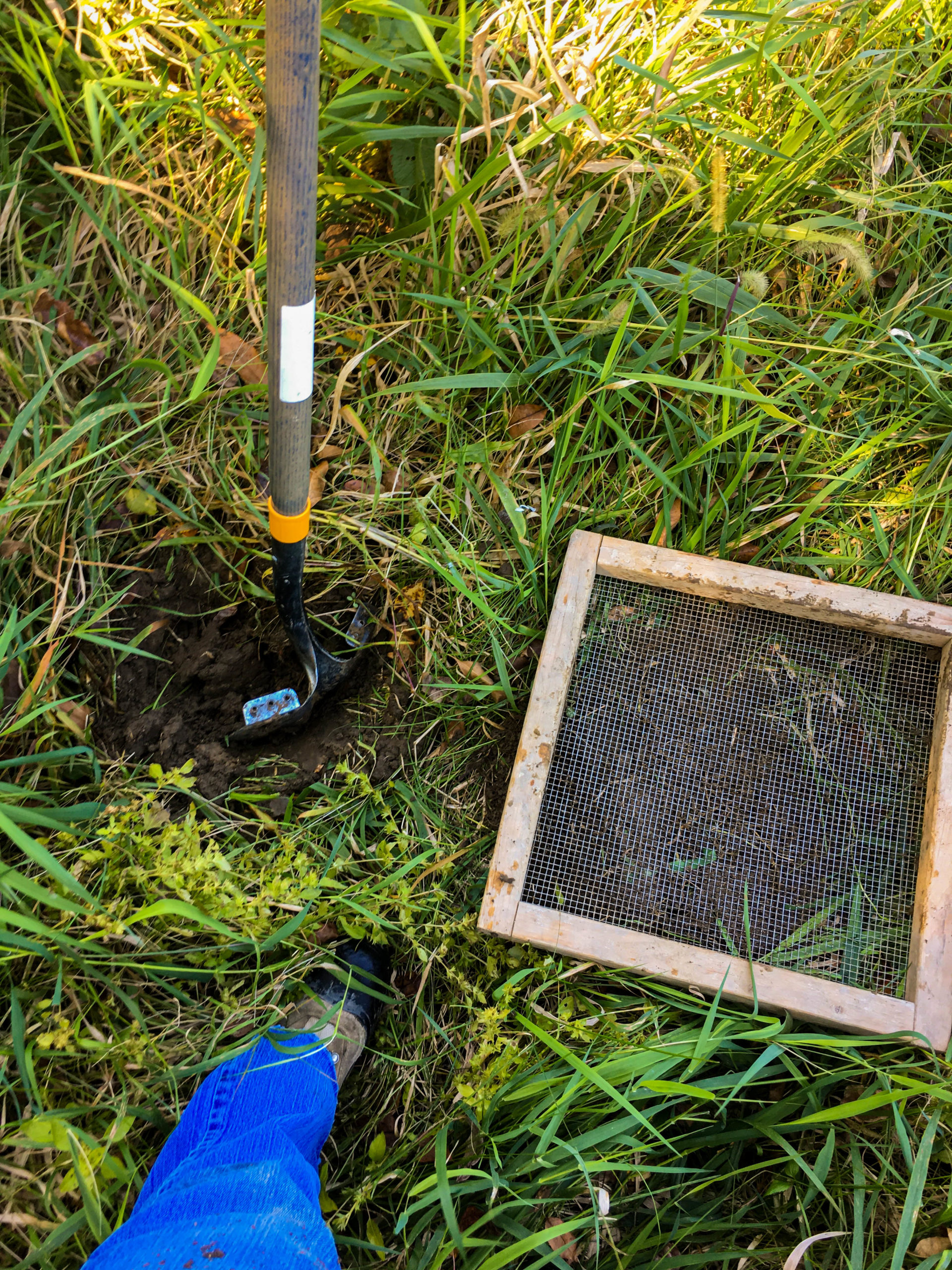 Environmental + Cultural Services