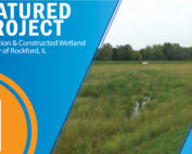 Featured Project graphic with image of the wetland