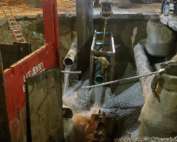 During construction of the project