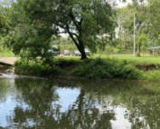 White Lick Creek