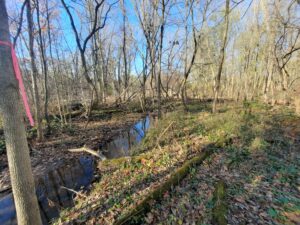 Hancock and Eastman drain