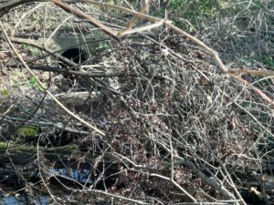 Existing culvert surrounded by debris