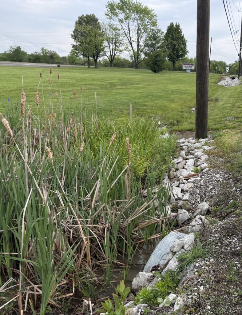 Hendricks Co. Small Structure Inspection