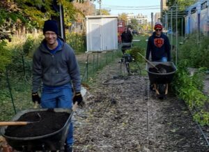 Chris volunteering at El Paseo Community Garden (Chicago, Il)